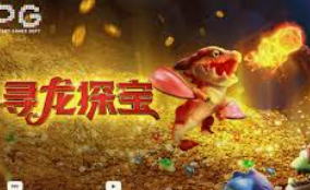 BBIN视讯官网2024最新版